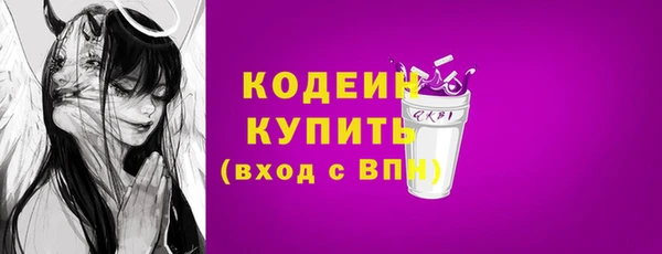 молекула духа Лабытнанги