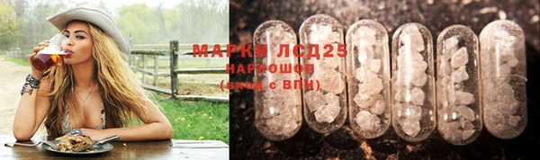 стаф Ладушкин