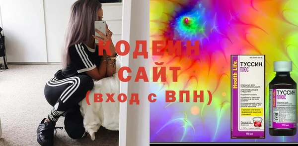 молекула духа Лабытнанги