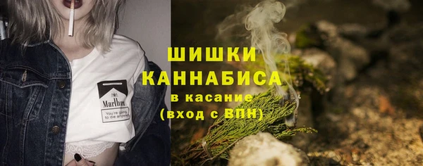 стаф Ладушкин