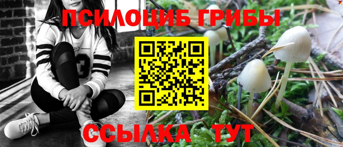 Псилоцибиновые грибы ЛСД Новошахтинск