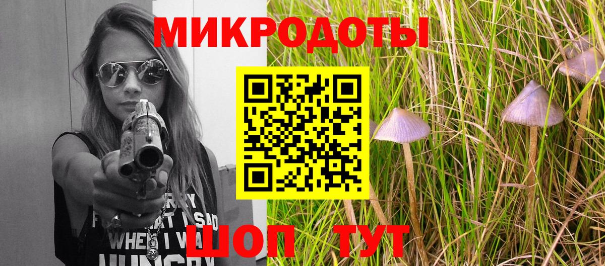 Новошахтинск  Псилоцибиновые грибы Psilocybe  Галлюциногенные грибы мухоморы  Вход с VPN 